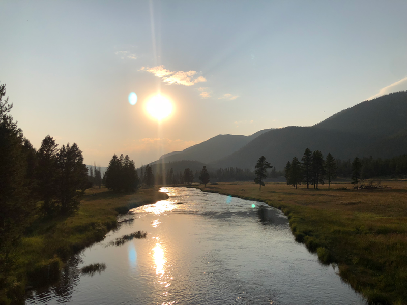 Illustration for article titled Photodump: Yellowstone National Park